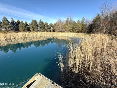 Tiny photo for 17576 County Road J, Napoleon, OH 43545 (MLS # 10006699)