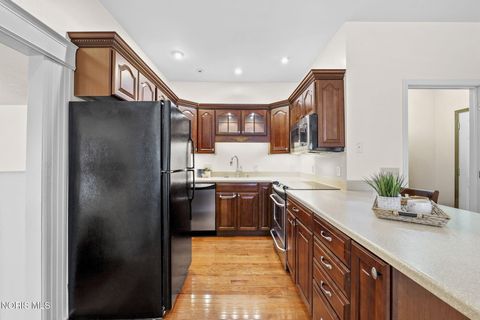 Tiny photo for 28375 White Road, Perrysburg, OH 43551 (MLS # 10006293)