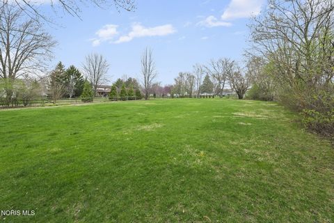 Tiny photo for 28375 White Road, Perrysburg, OH 43551 (MLS # 10006293)