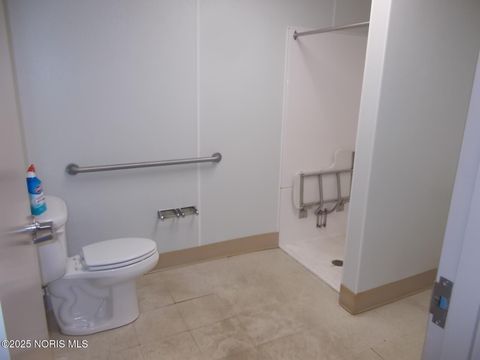 Tiny photo for 117 S Fulton Street, Wauseon, OH 43567 (MLS # 10001934)