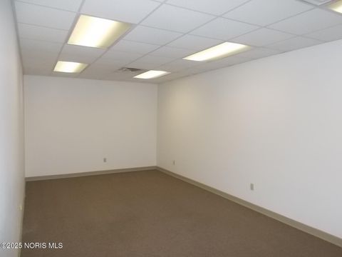Tiny photo for 117 S Fulton Street, Wauseon, OH 43567 (MLS # 10001934)