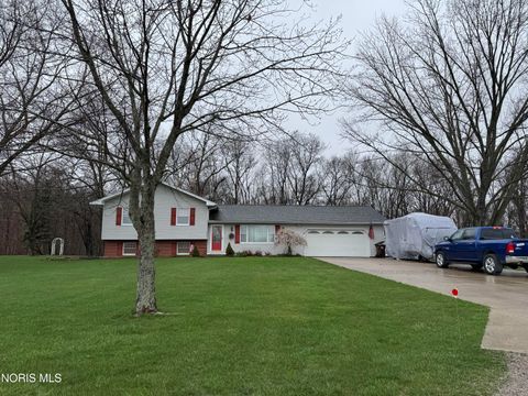 Photo of 205 Hickory Drive, Napoleon, OH 43545 (MLS # 10005859)