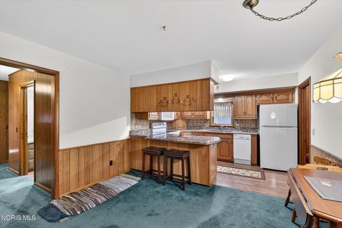 Tiny photo for 408 Ditto Street, Archbold, OH 43502 (MLS # 10005176)