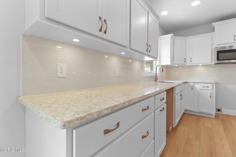 Tiny photo for 547 N Church Street, Oak Harbor, OH 43449 (MLS # 10006274)