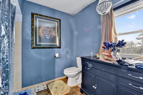 Tiny photo for 263 W Chestnut Street, Wauseon, OH 43567 (MLS # 10003275)