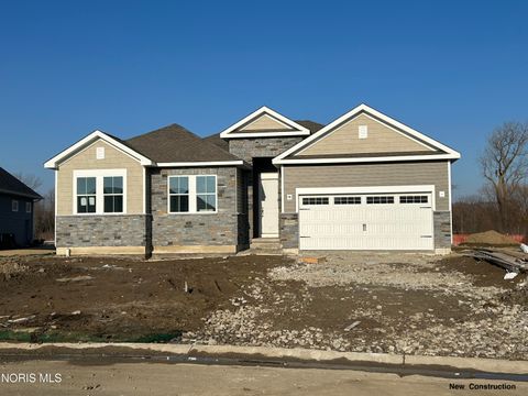 Photo of 9228 Mile View Court, Sylvania, OH 43560 (MLS # 10003687)