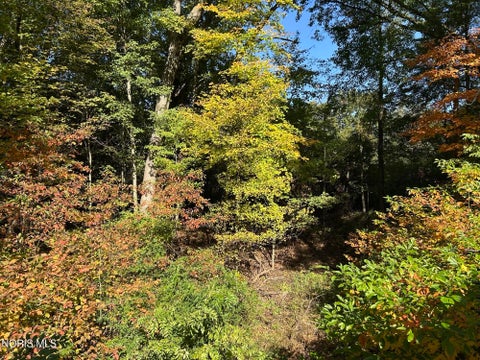 Tiny photo for 5150 Manore Road, Swanton, OH 43558 (MLS # 10014674)