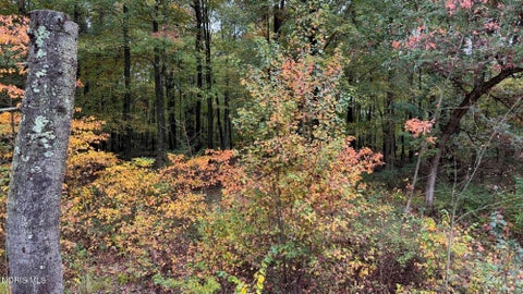 Tiny photo for 5150 Manore Road, Swanton, OH 43558 (MLS # 10014674)