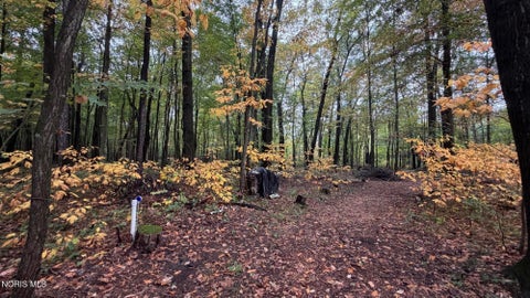Tiny photo for 5150 Manore Road, Swanton, OH 43558 (MLS # 10014674)