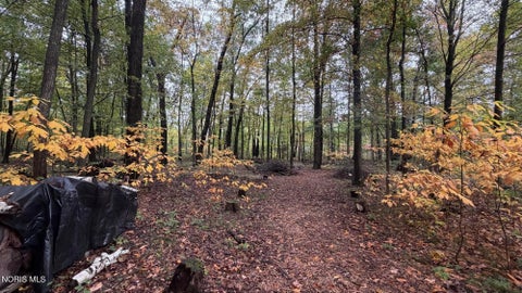 Tiny photo for 5150 Manore Road, Swanton, OH 43558 (MLS # 10014674)