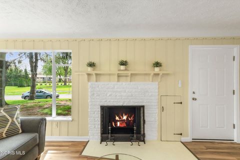 Tiny photo for 3338 Royton Road, Toledo, OH 43614 (MLS # 10007050)