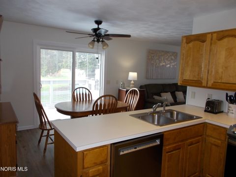 Tiny photo for 218 Ironton Street, Wauseon, OH 43567 (MLS # 10006512)