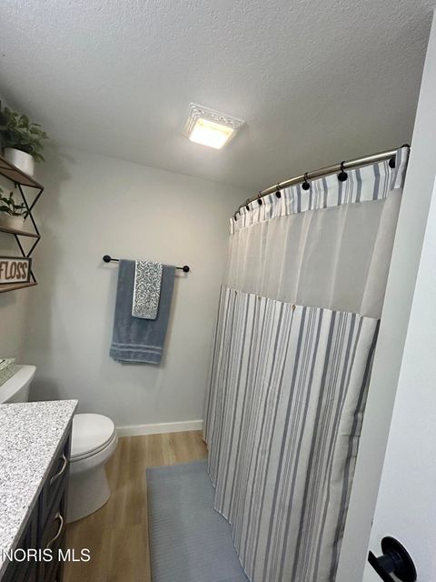 Tiny photo for 306 W Woodcox Street, Antwerp, OH 45813 (MLS # 10007109)