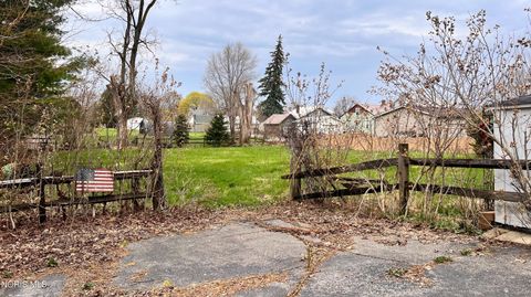 Tiny photo for 114 S Adrian Street, Lyons, OH 43533 (MLS # 10006206)