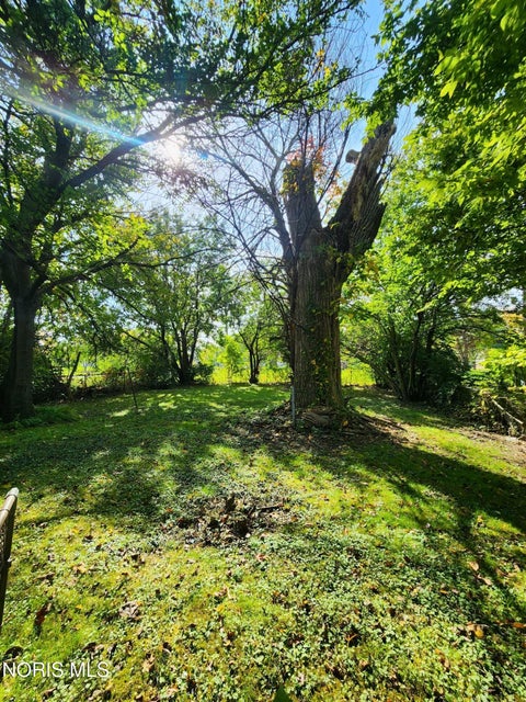 Tiny photo for 709 Palmwood Avenue, Toledo, OH 43604 (MLS # 10014687)