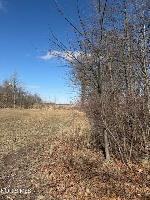 Tiny photo for Elmwood Drive, Sherwood, OH 43556 (MLS # 10004575)