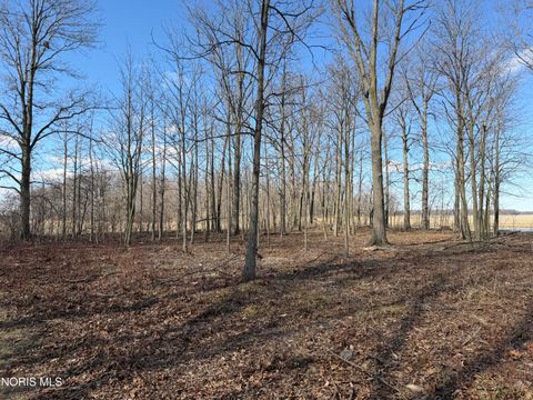 Tiny photo for Elmwood Drive, Sherwood, OH 43556 (MLS # 10004575)