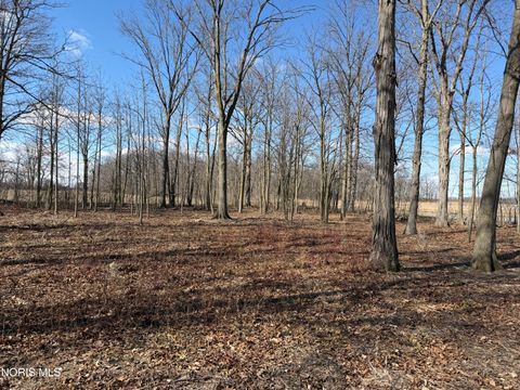 Photo of Elmwood Drive, Sherwood, OH 43556 (MLS # 10004575)