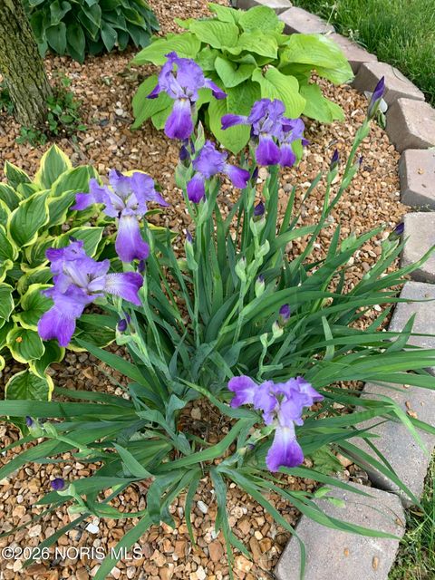 Tiny photo for 217 Clarksville Road, Edgerton, OH 43517 (MLS # 10003834)