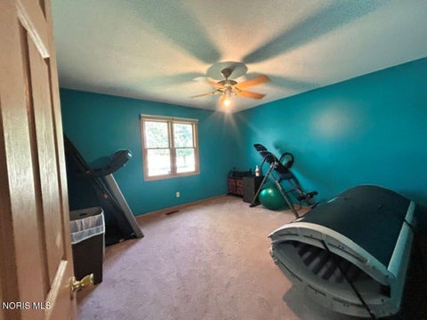 Tiny photo for 210 Ash Drive, Pioneer, OH 43554 (MLS # 10010020)