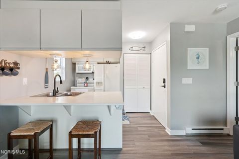 Tiny photo for 8864 W Canada Goose Court, Oak Harbor, OH 43449 (MLS # 10006430)