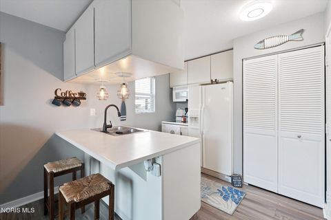 Tiny photo for 8864 W Canada Goose Court, Oak Harbor, OH 43449 (MLS # 10006430)