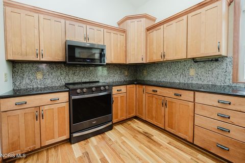 Tiny photo for 3600 Orange Township Road 27, Bluffton, OH 45817 (MLS # 10006864)