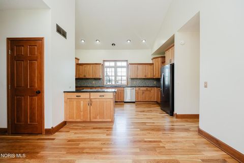 Tiny photo for 3600 Orange Township Road 27, Bluffton, OH 45817 (MLS # 10006864)