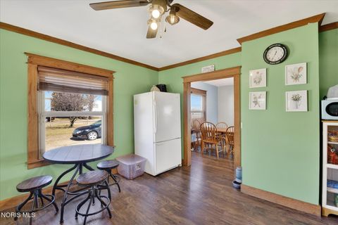 Tiny photo for 767 County Road 7, Grelton, OH 43523 (MLS # 10004658)