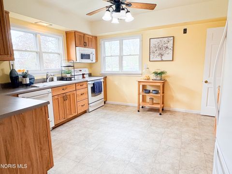 Tiny photo for 510 Water Street, Woodville, OH 43469 (MLS # 10006684)