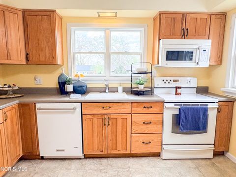 Tiny photo for 510 Water Street, Woodville, OH 43469 (MLS # 10006684)