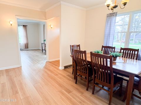 Tiny photo for 510 Water Street, Woodville, OH 43469 (MLS # 10006684)