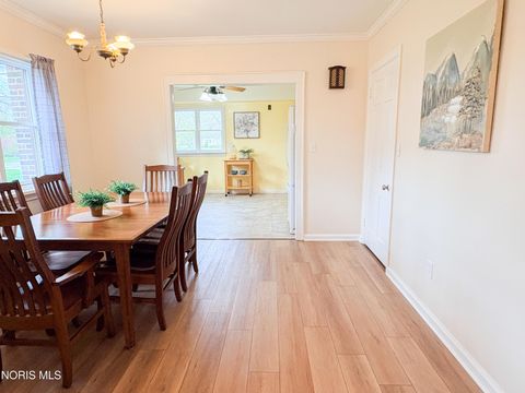 Tiny photo for 510 Water Street, Woodville, OH 43469 (MLS # 10006684)