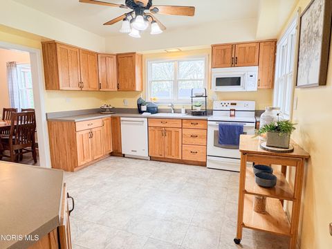 Tiny photo for 510 Water Street, Woodville, OH 43469 (MLS # 10006684)