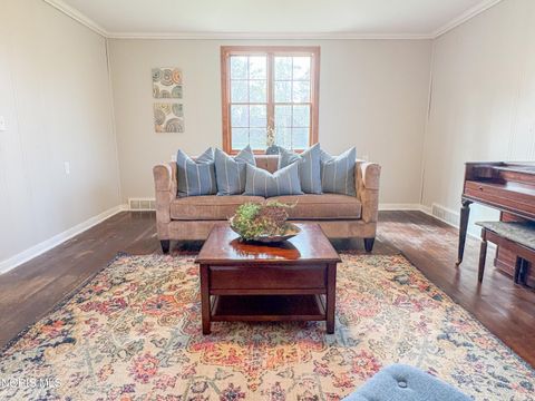 Tiny photo for 510 Water Street, Woodville, OH 43469 (MLS # 10006684)