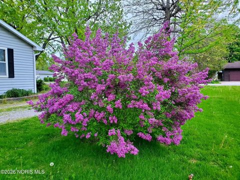 Tiny photo for 106 Buffalo Street, Antwerp, OH 45813 (MLS # 10003966)