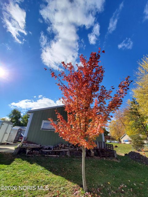 Tiny photo for 106 Buffalo Street, Antwerp, OH 45813 (MLS # 10003966)