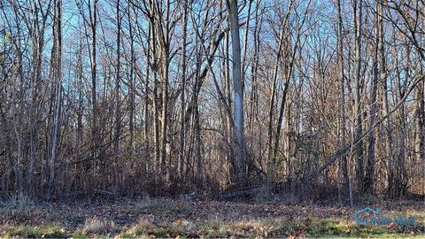 Tiny photo for 1011 Reserve Drive, Perrysburg, OH 43551 (MLS # 10006577)