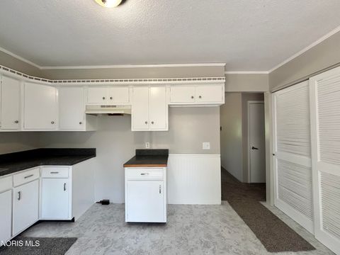 Tiny photo for 554 Williamsville Avenue, Toledo, OH 43609 (MLS # 10010026)