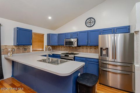 Tiny photo for 1137 Bedford Woods Drive, Toledo, OH 43615 (MLS # 10002849)