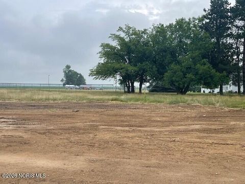 Photo of 512 N Adrian Street, Lyons, OH 43533 (MLS # 10003651)