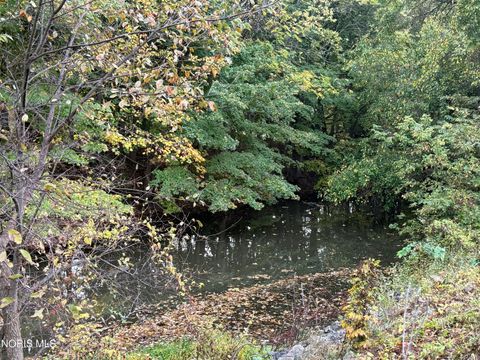 Tiny photo for 212 E High Street, Napoleon, OH 43545 (MLS # 10006799)