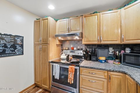 Tiny photo for 141 S Walnut Street, Dunkirk, OH 45836 (MLS # 10007451)