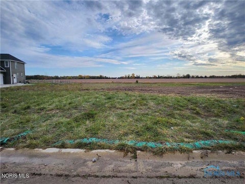 Tiny photo for 25216 John F. Mccarthy Way, Perrysburg, OH 43551 (MLS # 10011106)