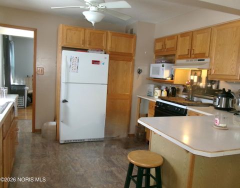 Tiny photo for 238 N Ohio Avenue, Ottawa, OH 45875 (MLS # 10003846)