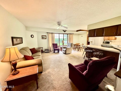 Tiny photo for 976 County Road 6, Deshler, OH 43516 (MLS # 10013805)
