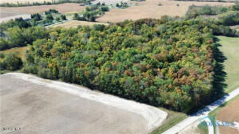 Tiny photo for 0 State Route 249, Ney, OH 43549 (MLS # 10007839)
