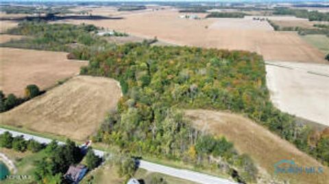 Tiny photo for 0 State Route 249, Ney, OH 43549 (MLS # 10007839)