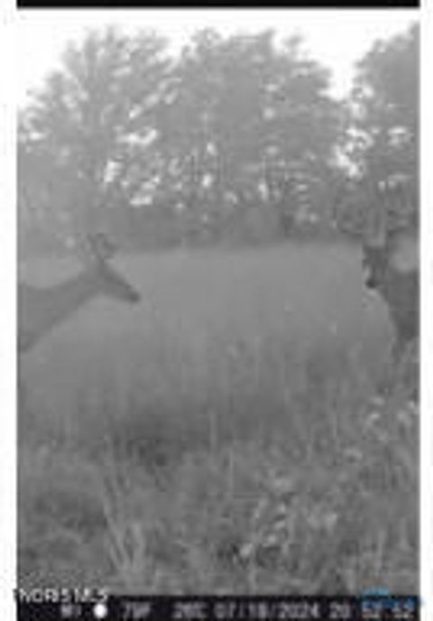 Tiny photo for 0 State Route 249, Ney, OH 43549 (MLS # 10007839)