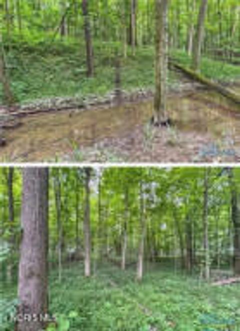 Tiny photo for 0 State Route 249, Ney, OH 43549 (MLS # 10007839)